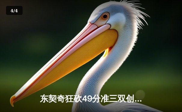 东契奇狂砍49分准三双创纪录，独行侠加时险胜篮网豪取五连胜 - 4