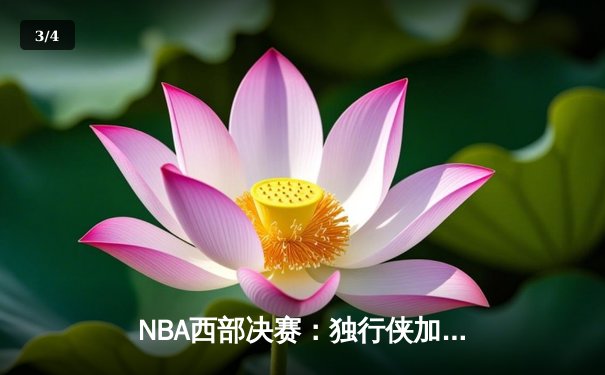 NBA西部决赛：独行侠加时险胜森林狼，东契奇三双率队夺赛点 - 3